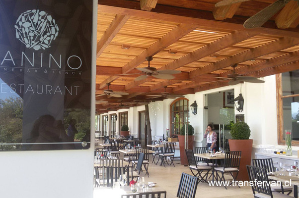 Vino y tour